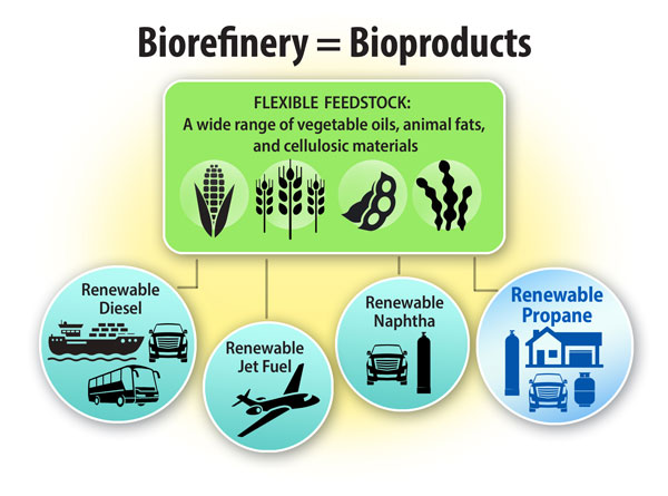 Uploaded Image: /uploads/blog-photos/Biorefinery-Bioenergy-Diagram_600w.jpg